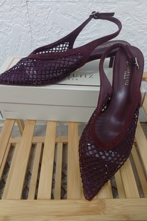 Zapato brillo